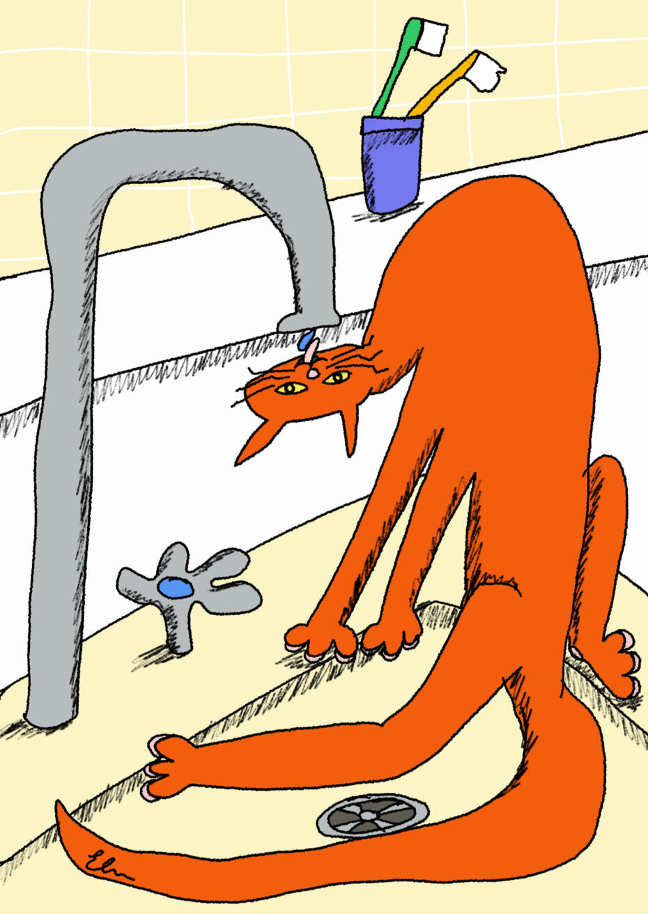 Cheeky Cat Greetings Card Illustration